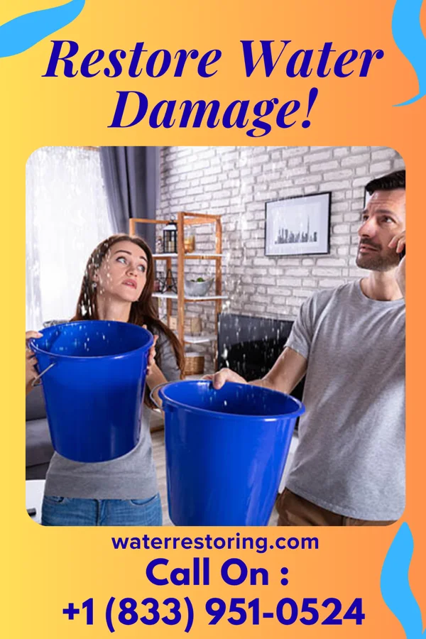 water restoration Prime Disaster Cleanup Wilmington