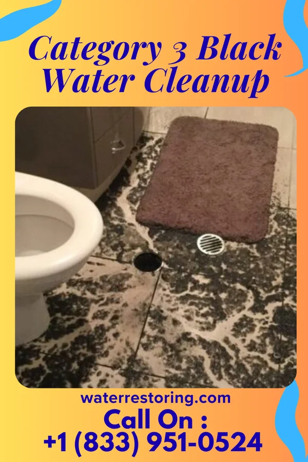 Category 3 Black Water Cleanup in Wilmington, OH