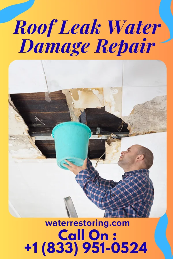 Roof Leak Water Damage Repair in Wilmington, OH