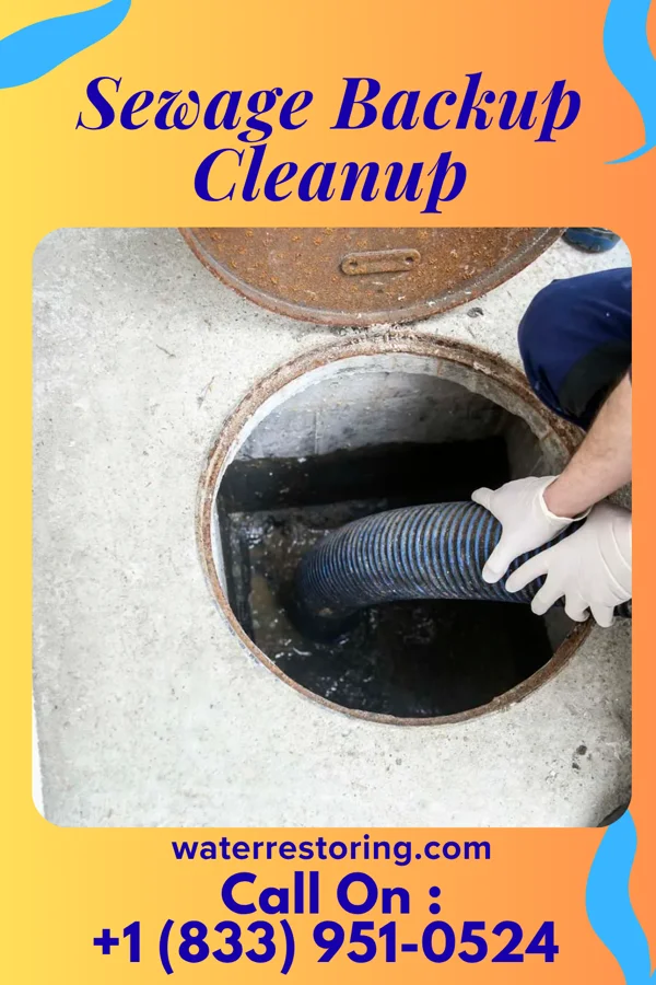 Sewage Backup Cleanup in Wilmington, OH
