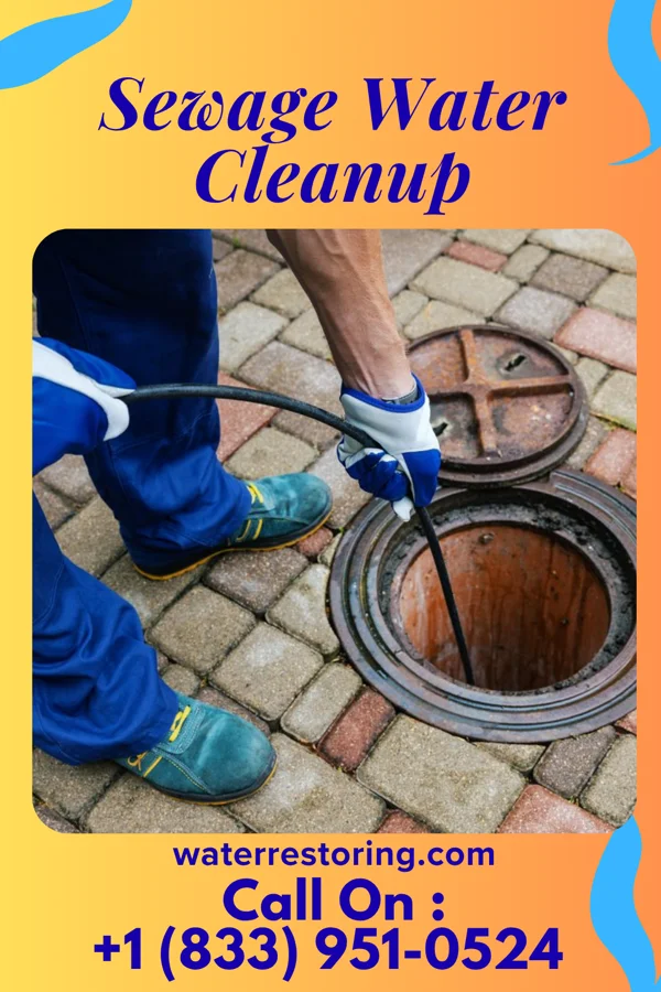 Sewage Water Cleanup in Wilmington, OH