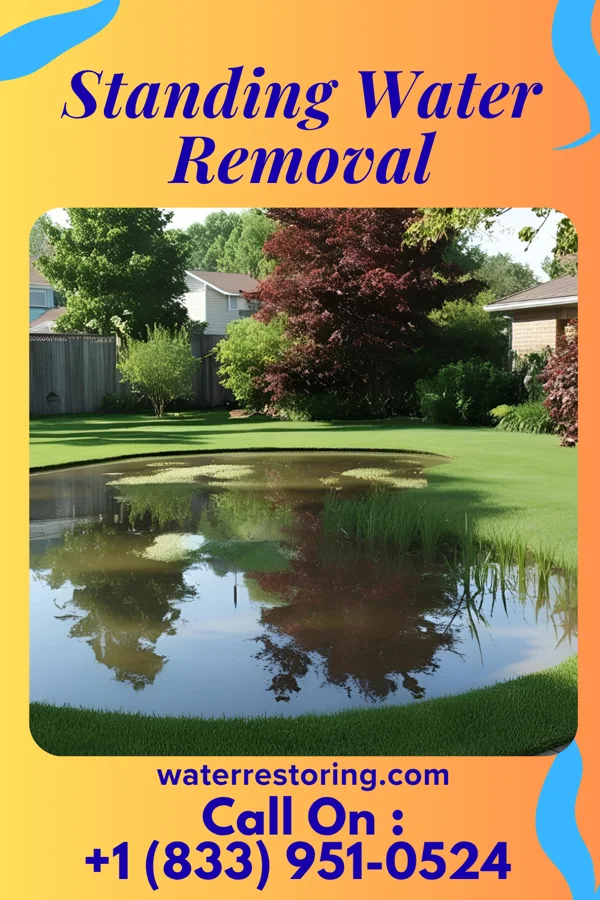 Standing Water Removal in Wilmington, OH